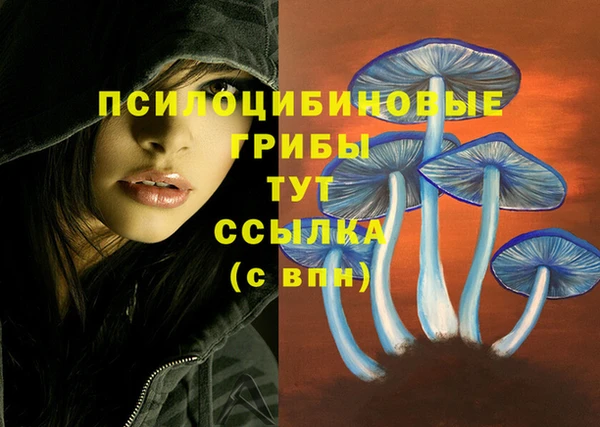 jwh Володарск